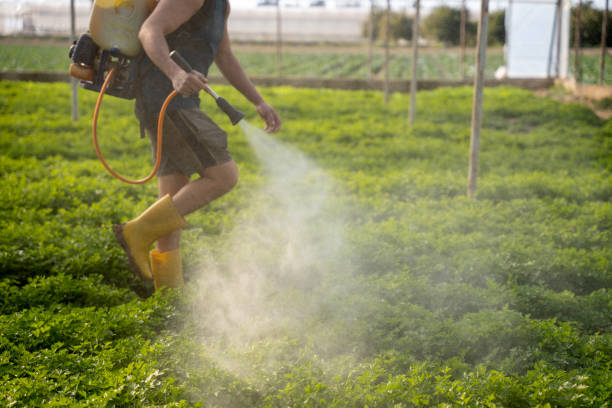 Best Mosquito Control Services  in Sunnyvale, TX
