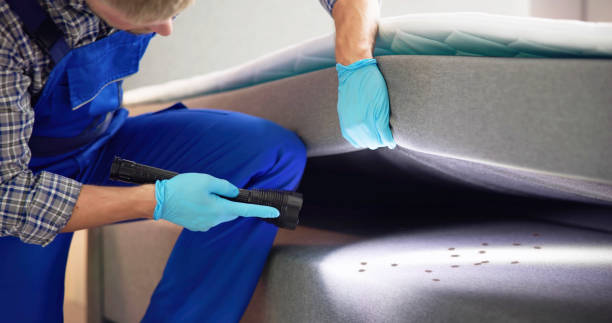 Best Pest Control Near Me in Sunnyvale, TX