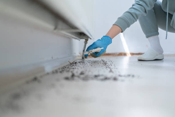 Best Best Pest Control Companies  in Sunnyvale, TX