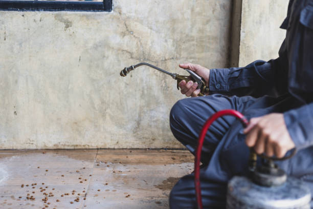 Best Pest Control Near Me  in Sunnyvale, TX